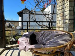 -慢丽江·云南野生菌土鸡锅(付家庄店)