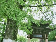 -瀛洲公园