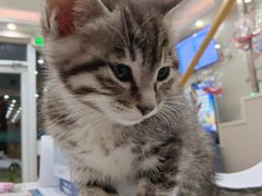 -便宜坊烤鸭店(科创店)