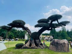 -东平国家森林公园