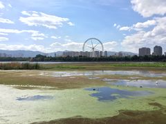 -庾园