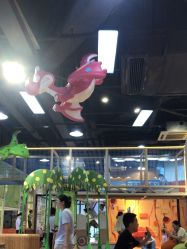 -卡通尼乐园(宝山龙湖天街店)