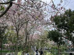 -四海公园(南山区)