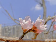 -云南艺术学院(呈贡校区)