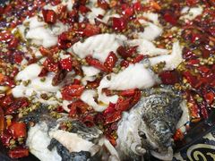 -金三可市井水煮鱼(金碧园店)