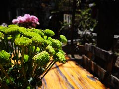 大堂-四方小吃·白族庭院餐厅