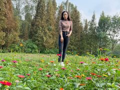 -桤木河湿地公园