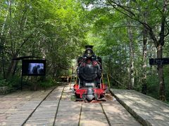 -五营红松林海景区