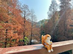 -云溪植物园
