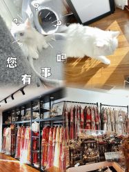 -懿沉香中式嫁衣礼服秀禾服龙凤褂马来褂旗袍总店