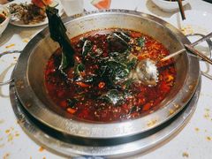 -蛙一刀·麻椒鱼火锅(金仙桥店)