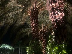 -海悦山庄酒店-花园泳池