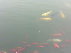 -辛玛王国游乐园