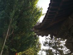 -张掖大佛寺景区