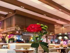 -ELI FALAFEL Lebanese&Mediterranean黎巴嫩美食(富城路店)
