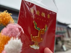 -荆州博物馆