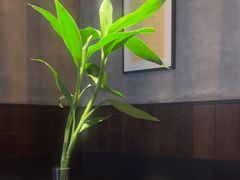 -庐灶江南·江南菜·四合院Bistro(东直门·华侨夜泊君亭店)