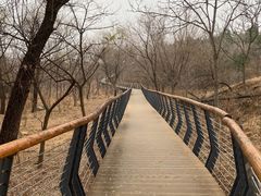 -白水寺森林公园