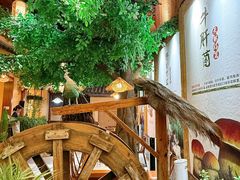 -大理董·董家小厨野生菌火锅(古城旗舰店)