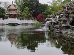 -顺峰山公园