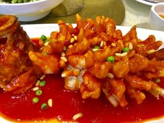 松鼠鳜鱼-顺风海鲜港(金玉兰店)