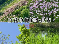 -西湖风景区-江洋畈生态公园