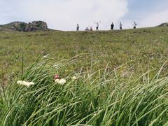 -灵山