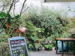 -蓝壁虎咖啡酒馆