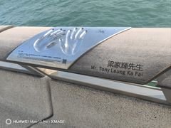 -星光大道