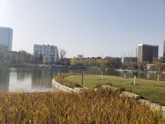 -西海子公园