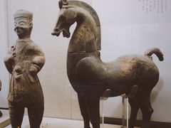 -乐山市博物馆