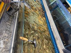 -一方渔歌蒸汽海鲜自助(文化路万达广场店)