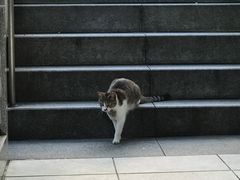 -Hōzen-ji Temple法善寺