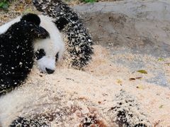 -泉州海丝野生动物世界