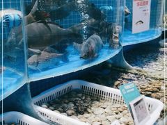 水产区-七鲜超市(通州ONE店)