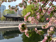 -元大都城垣遗址公园