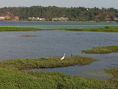 -洱海月湿地公园