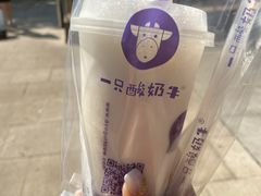 -一只酸奶牛(八一路店)
