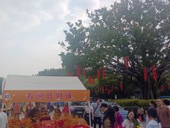 -广州莲花山旅游区