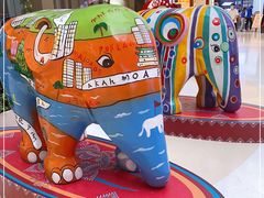 -高新活力汇Vitality