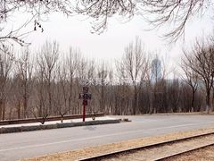 -永定河休闲森林公园