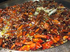 -雲蜀龙阁·金牌水煮鱼(方庄店)