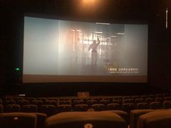 -万象影城(石家庄万象城IMAX激光店)