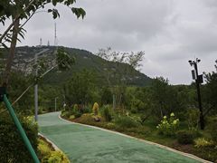 -佛慧山