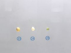 -青岛贝壳博物馆