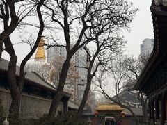 -护国法轮寺