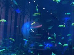 -亚特兰蒂斯•OSSIANO奥西亚诺海底餐厅