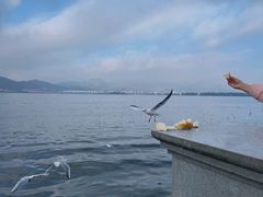 -海埂大坝