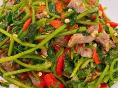 -壹盏灯(惠农店)