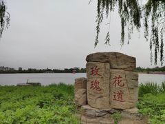 -天津水上公园